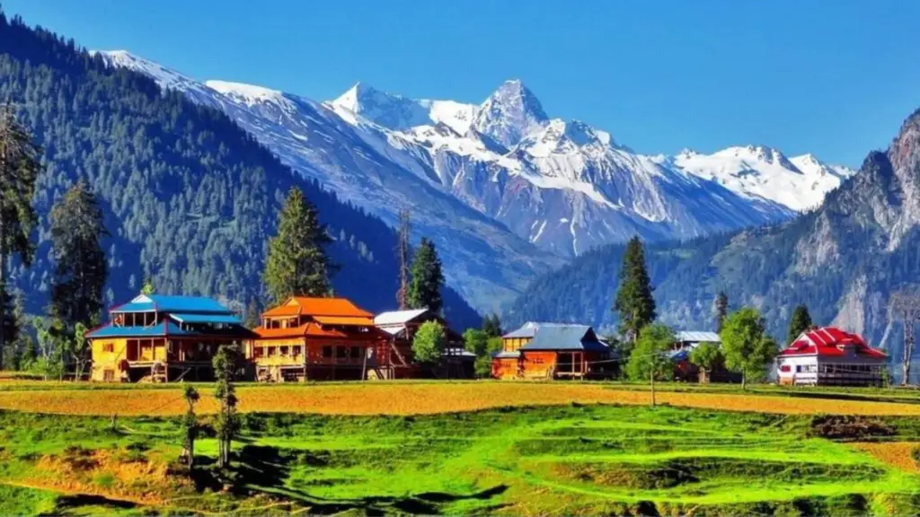 Untitled design - 2026-01-28T120508.939