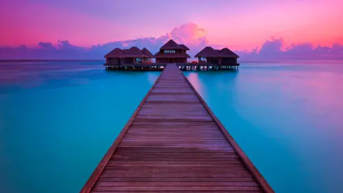 Untitled design - 2026-01-28T131540.739