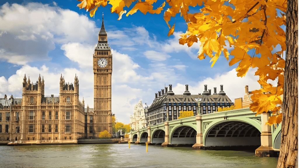 Untitled design - 2026-02-13T092600.656