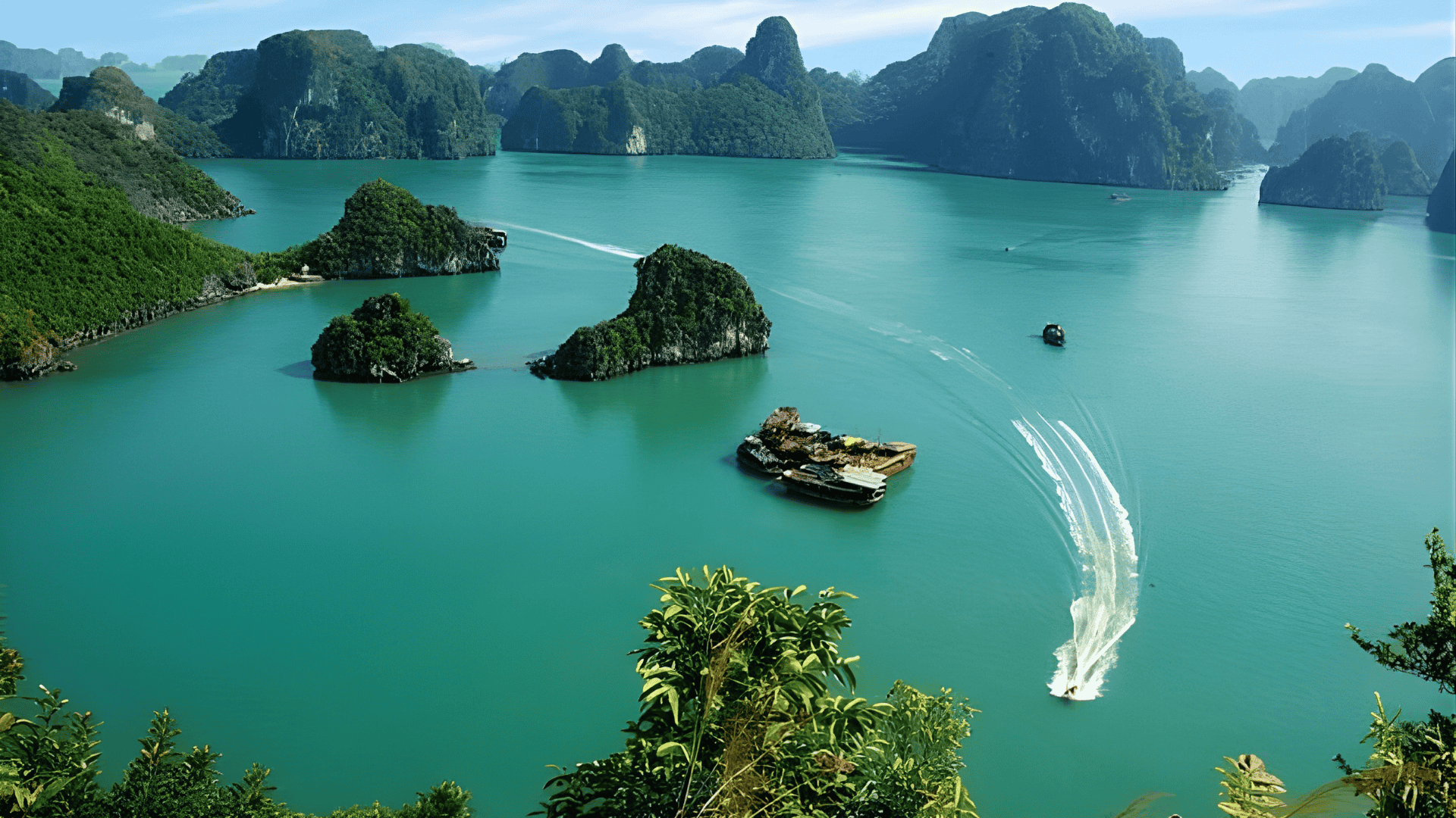 Untitled design - 2026-02-13T092602.783